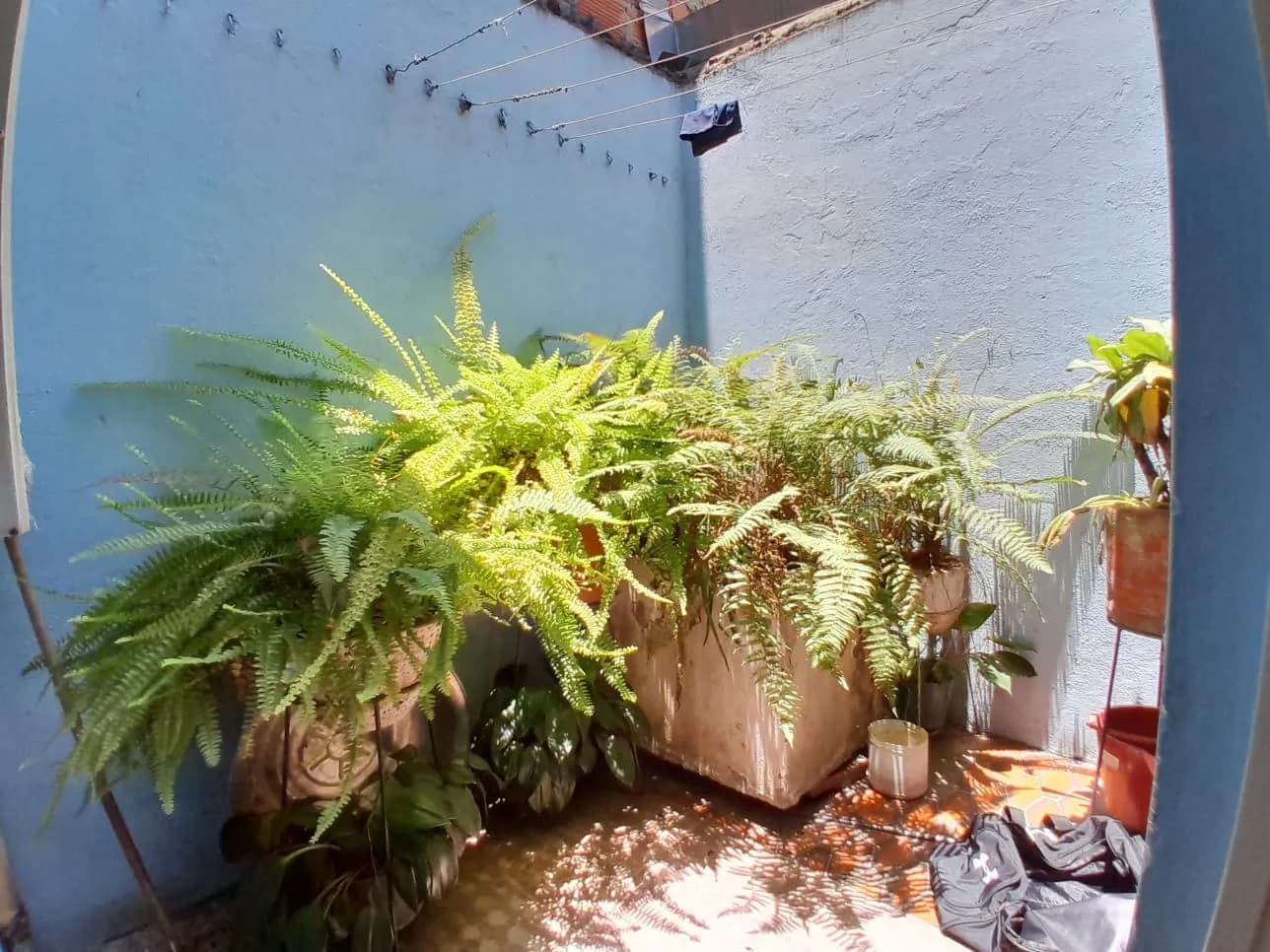 Venta de Casa en Barrio Roma — foto 11