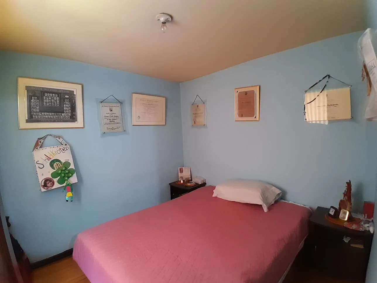 Venta de Casa en Barrio Roma — foto 14