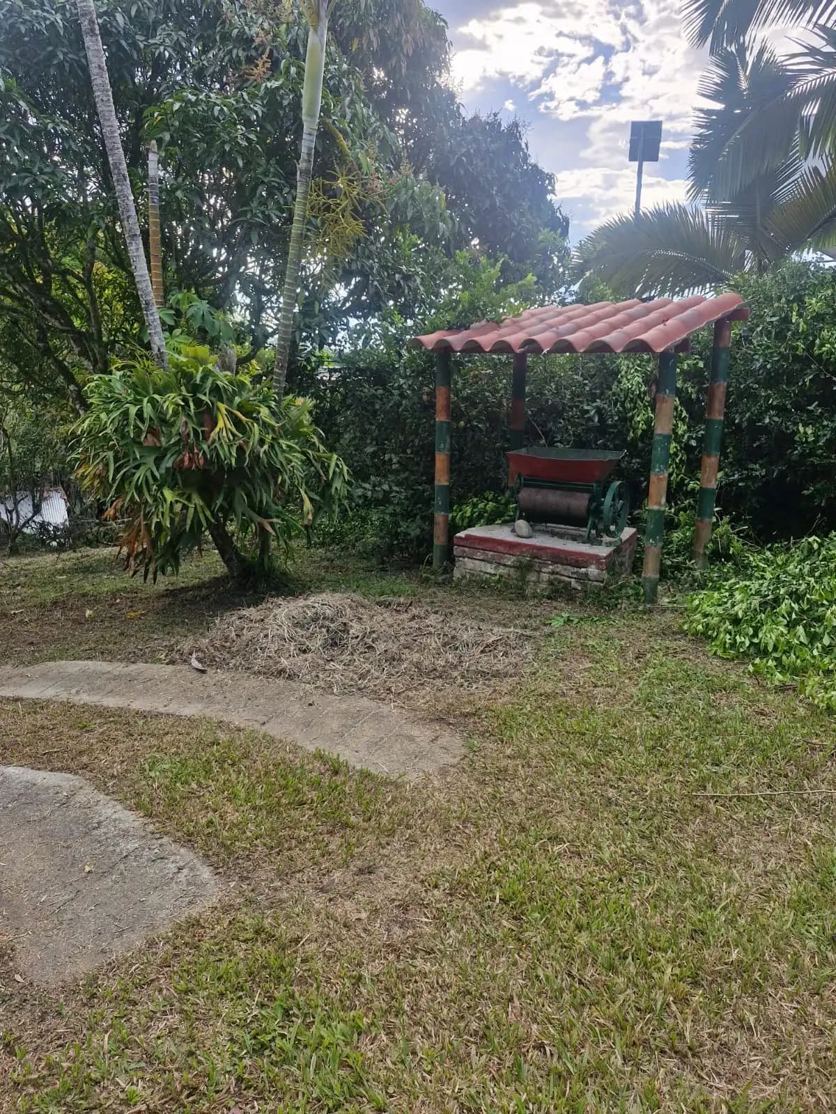 Finca Independiente Via Pueblo Tapao — foto 7