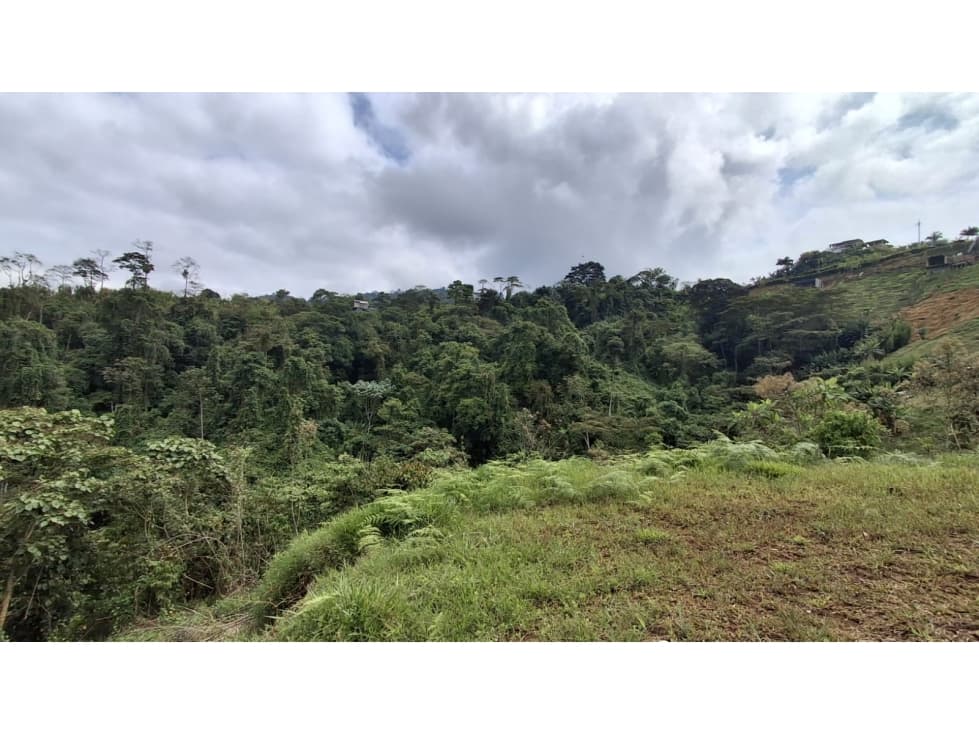 LOTE EN VENTA - SECTOR DOSQUEBRADAS, CONDOMINIO LA TESALIA — foto 6