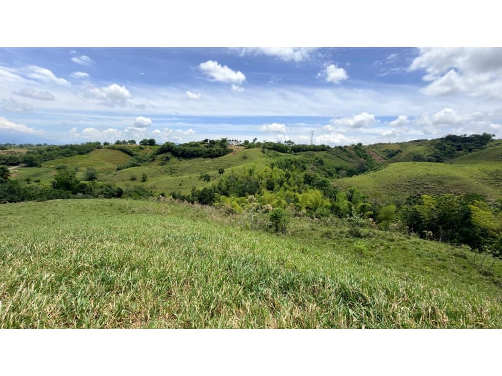 EN VENTA LOTE EN CERRITOS PEREIRA — foto 5