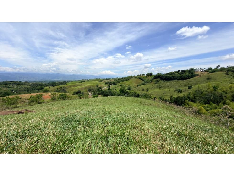 EN VENTA LOTE EN CERRITOS PEREIRA — foto 6