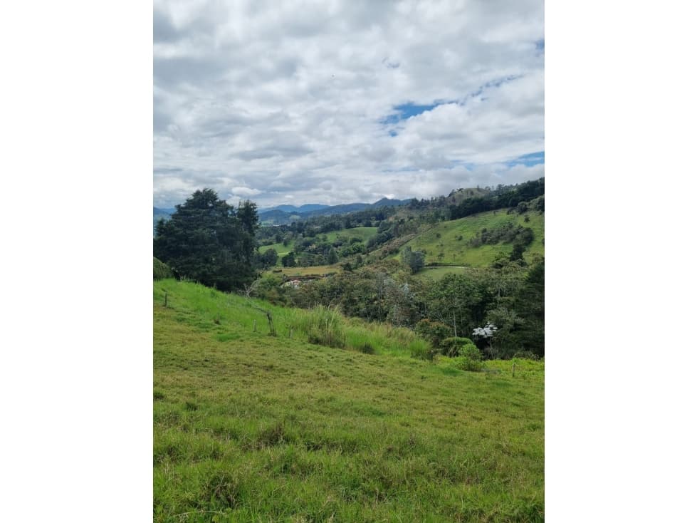 VENTA LOTE EN VARAHONDA RIONEGRO — foto 4