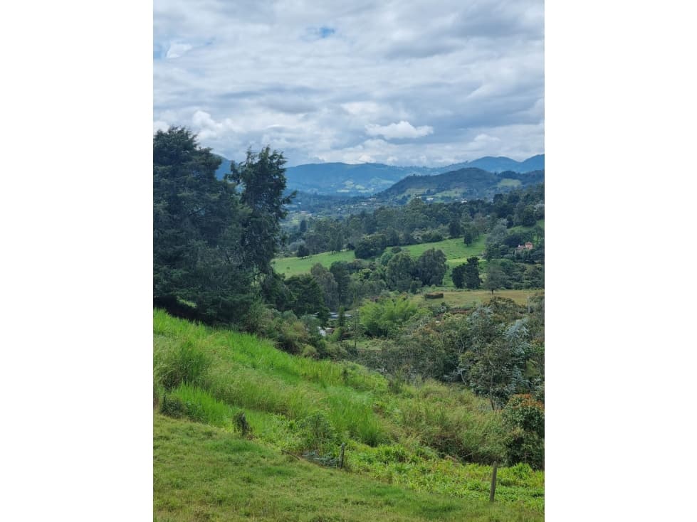 VENTA LOTE EN VARAHONDA RIONEGRO — foto 6