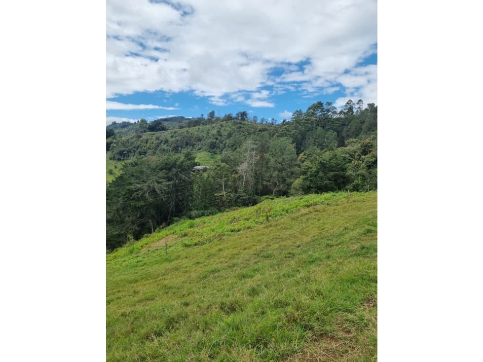 VENTA LOTE EN VARAHONDA RIONEGRO — foto 2