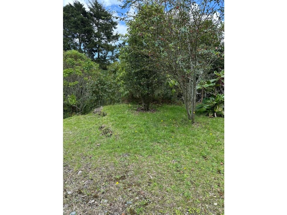 Lote en venta en Altos de Palmas Envigado — foto 6