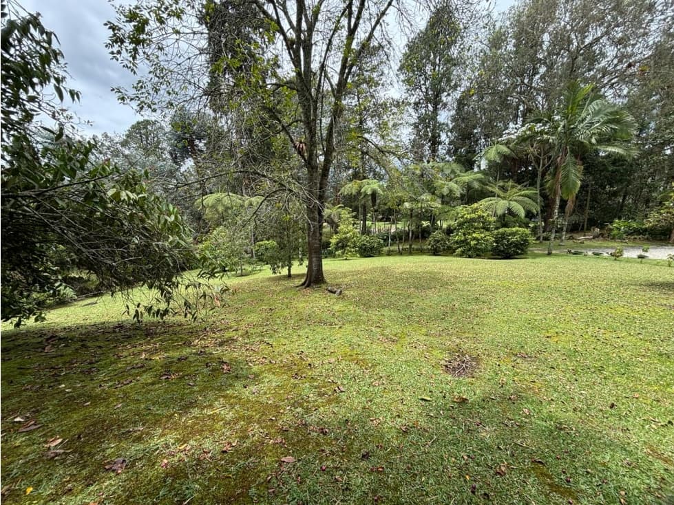 Venta de lotes en Rionegro sector el Tablazo — foto 6