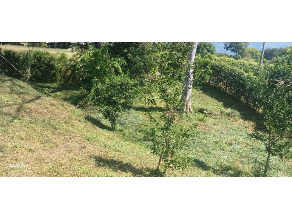 lote sopetran — foto 5