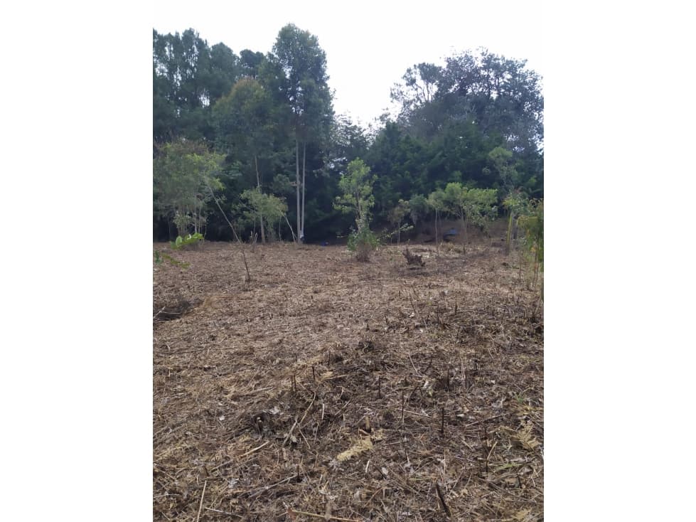 Lote en Venta Vereda los Pinos Rionegro — foto 1