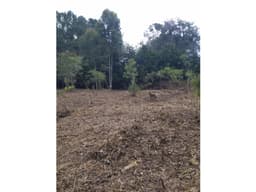 Lote en Venta Vereda los Pinos Rionegro