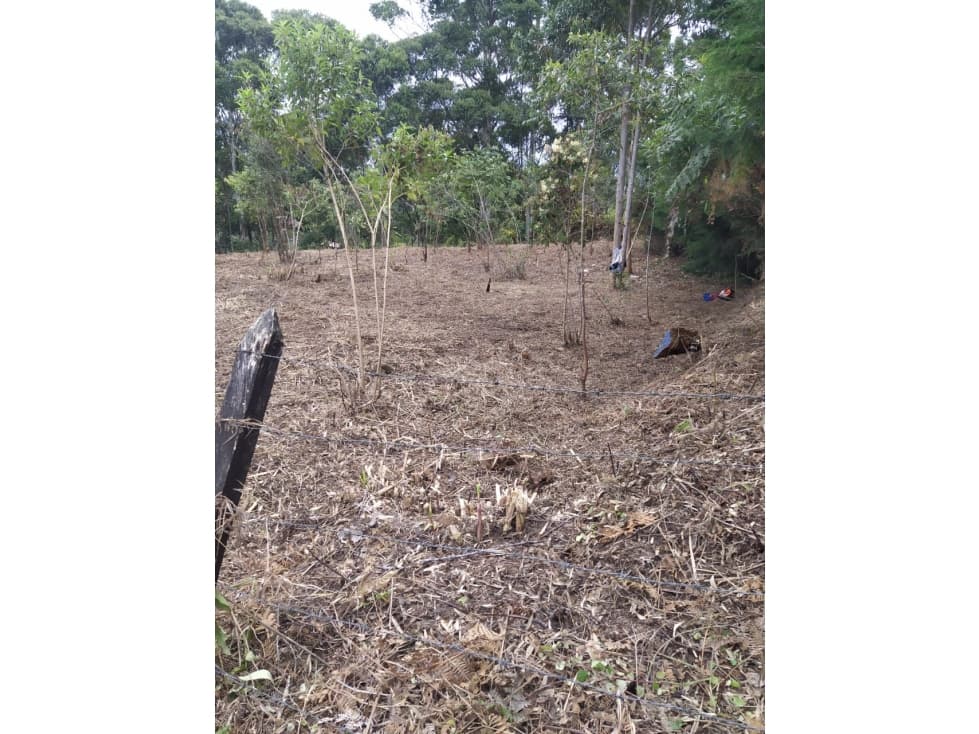 Lote en Venta Vereda los Pinos Rionegro — foto 6