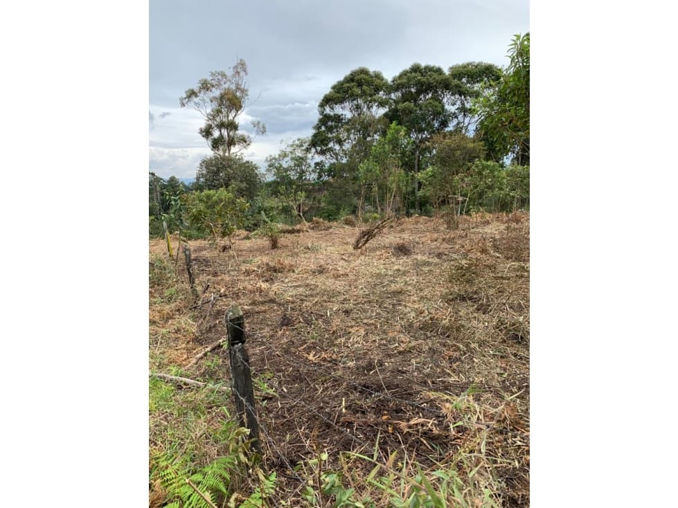 Lote en Venta Vereda los Pinos Rionegro — foto 3