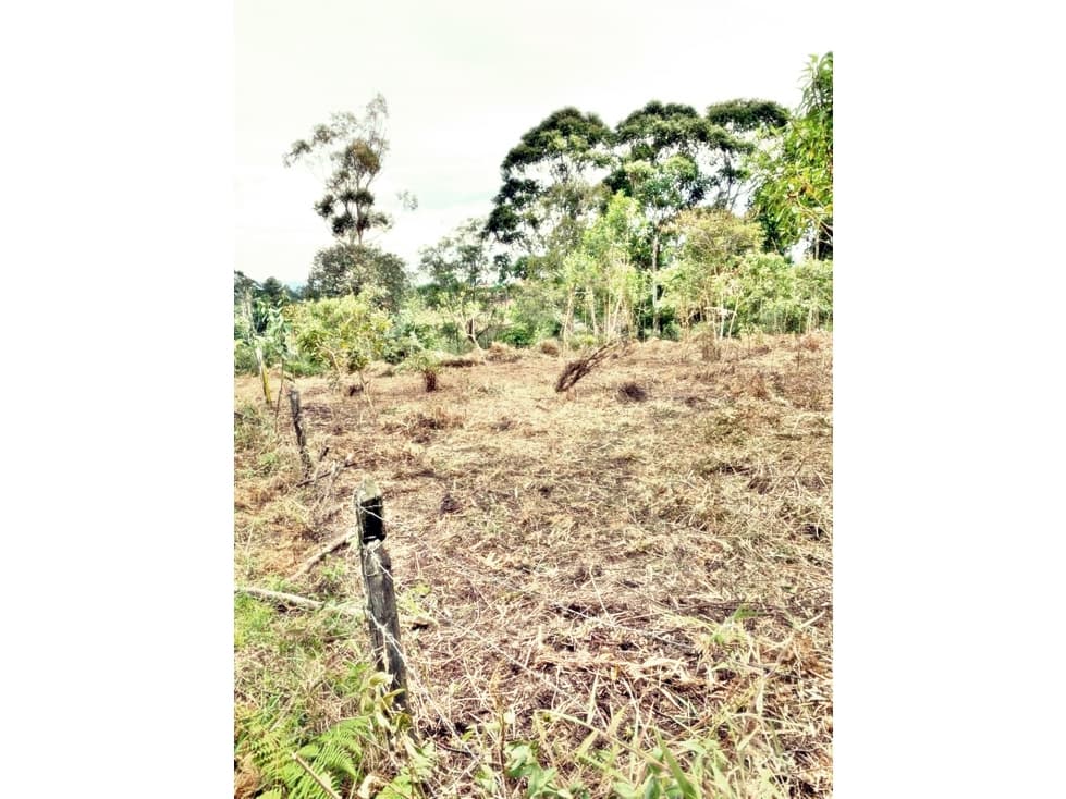 LOTE EN VEREDA LOS PINOS — foto 1