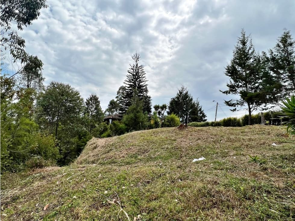 LOTE CON 7750 M2 INDEPENDIENTE EN RIONEGRO — foto 3