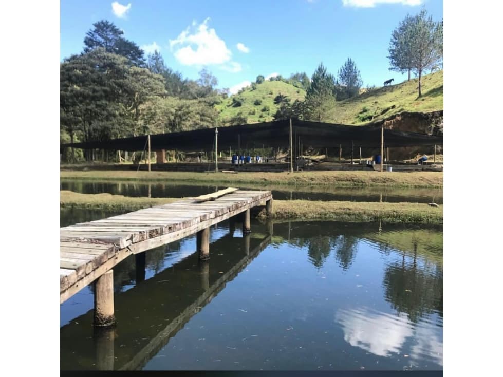 VENTA LOTE EXPLOTACION TURISTICA y PISCICOLA — foto 2