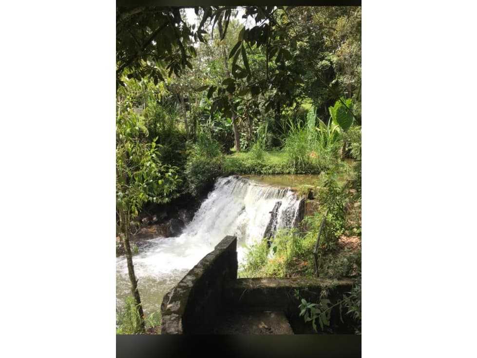 VENTA LOTE EXPLOTACION TURISTICA y PISCICOLA — foto 5
