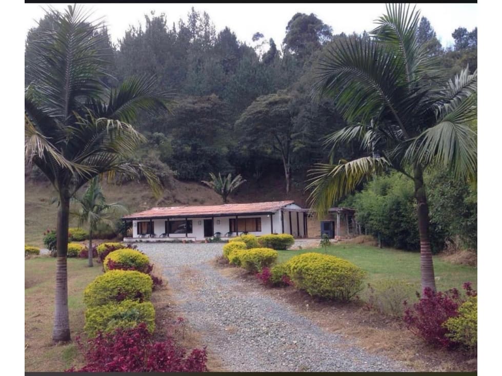 VENTA LOTE EXPLOTACION TURISTICA y PISCICOLA — foto 1