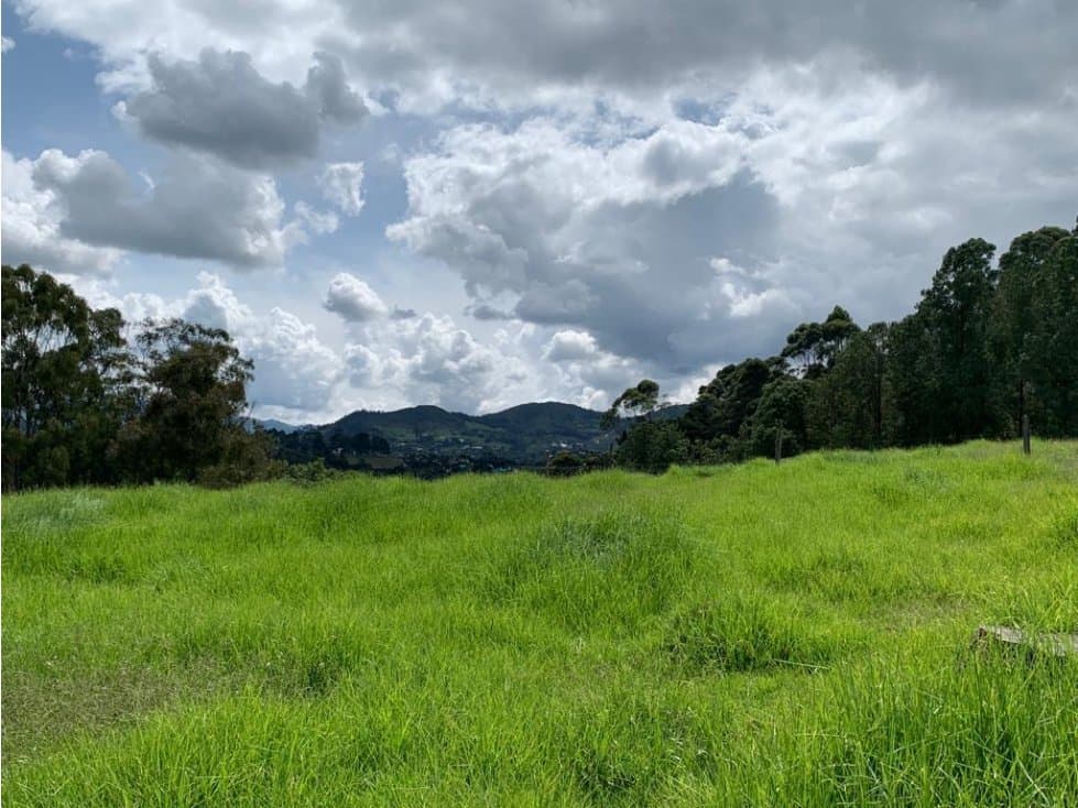 Venta de Finca EN LLANOGRANDE — foto 3