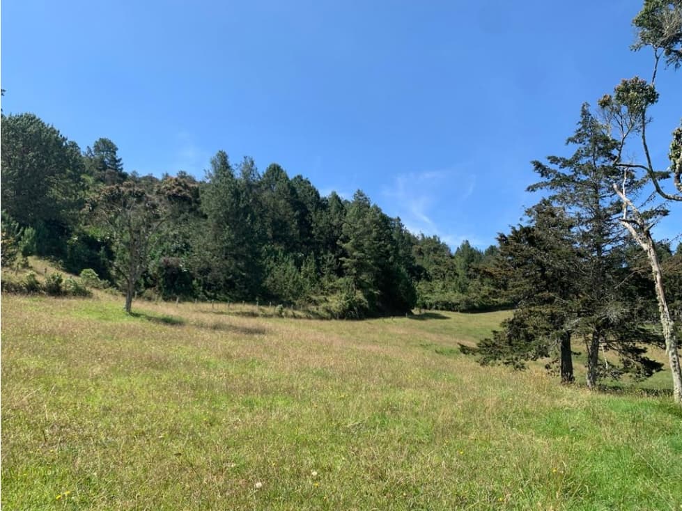 VENTA DE LOTE EN EL RETIRO — foto 1