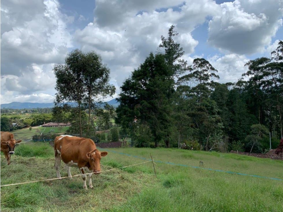 Venta de Finca EN LLANOGRANDE — foto 4
