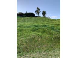 LOTE EN EL ALTO DE LAS PALMAS