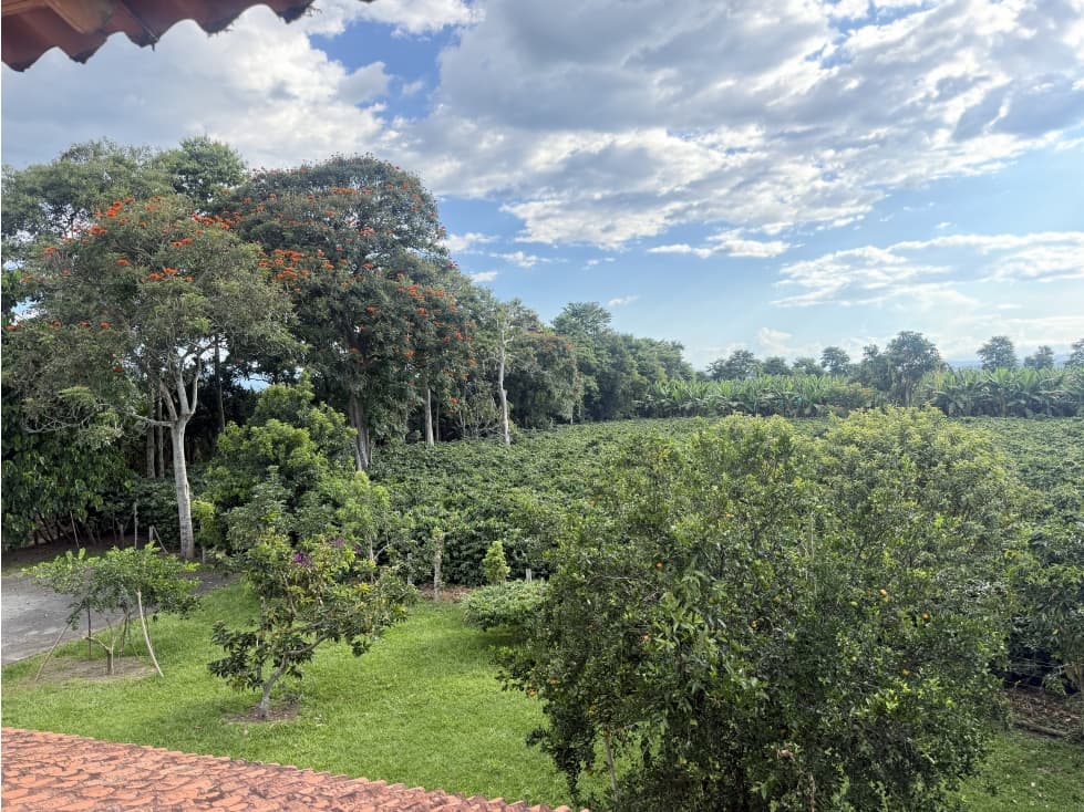 Finca Cafetera Pequeña En Venta El Caimo Armenia — foto 2