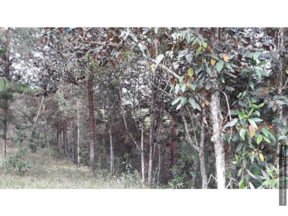 Lote independiente para venta en el retiro — foto 3