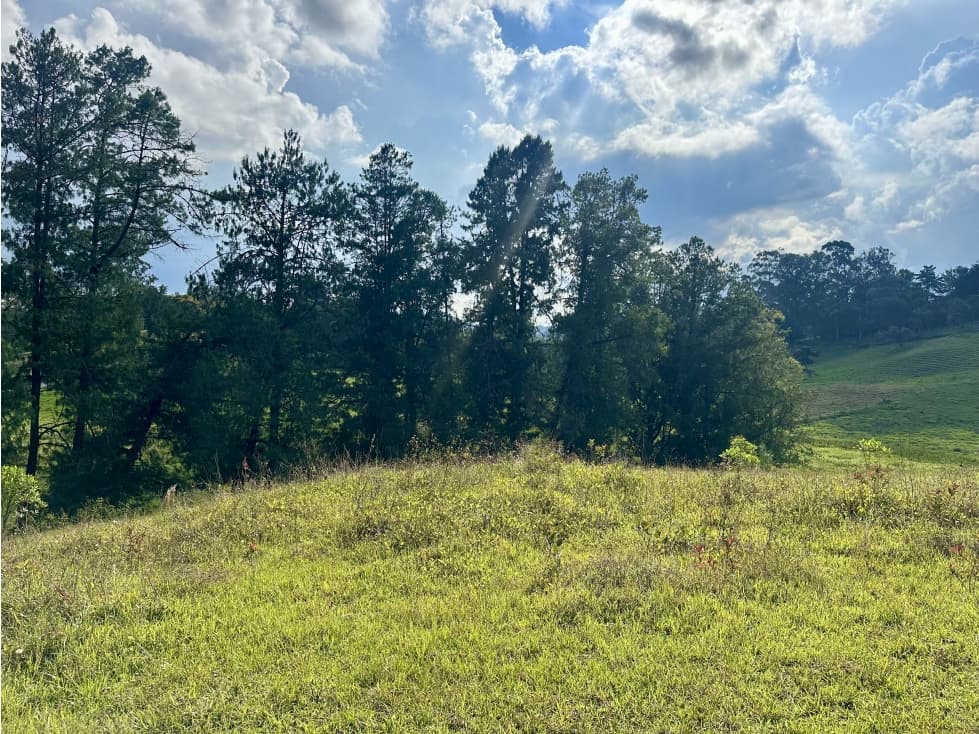 Venta De Lote En Rionegro Vilachuaga — foto 6