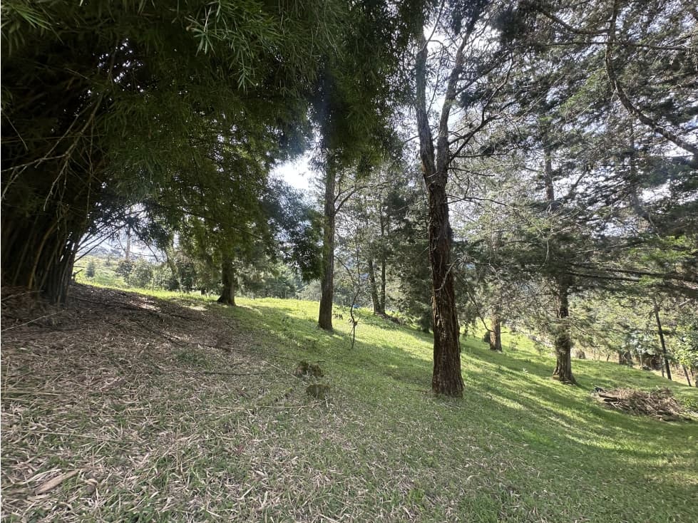 Venta De Lote En Rionegro Llanogrande Sector Eafit — foto 4