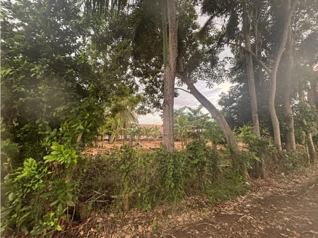 LOTE EN VENTA EL FARO 1