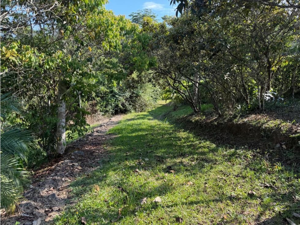 Lote en condominio — foto 4