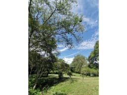 VENDO LOTE SOPETRAN ANTIOQUIA