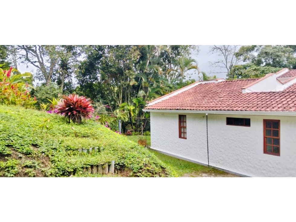 VENDO CASA CAMPESTRE EN EL QUINDIO — foto 6