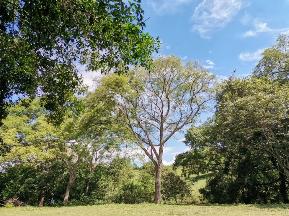 VENDO LOTE SOPETRAN ANTIOQUIA — foto 2