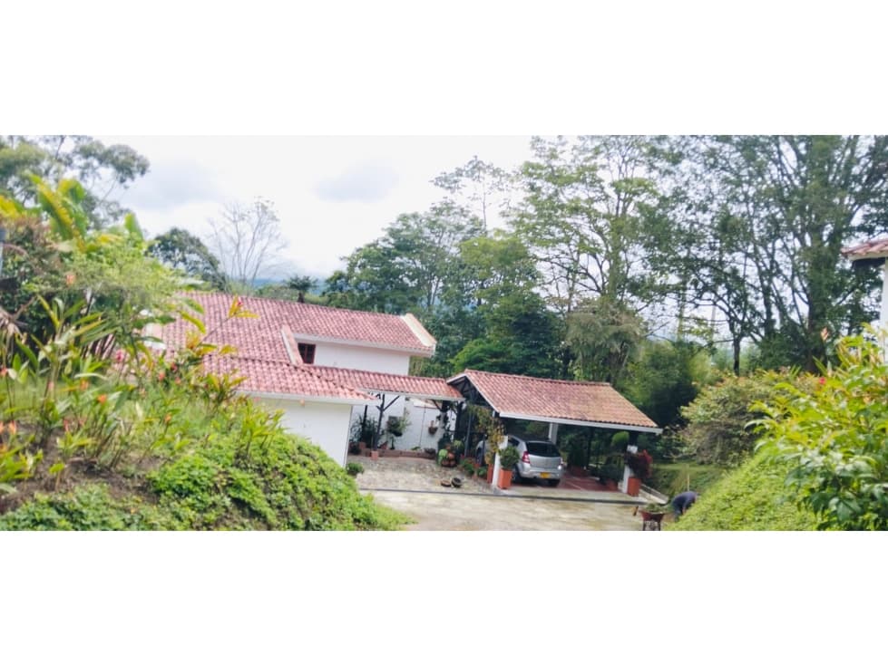 VENDO CASA CAMPESTRE EN EL QUINDIO — foto 4