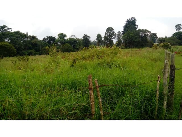 LOTE UBICADO EN VIA PEREIRA