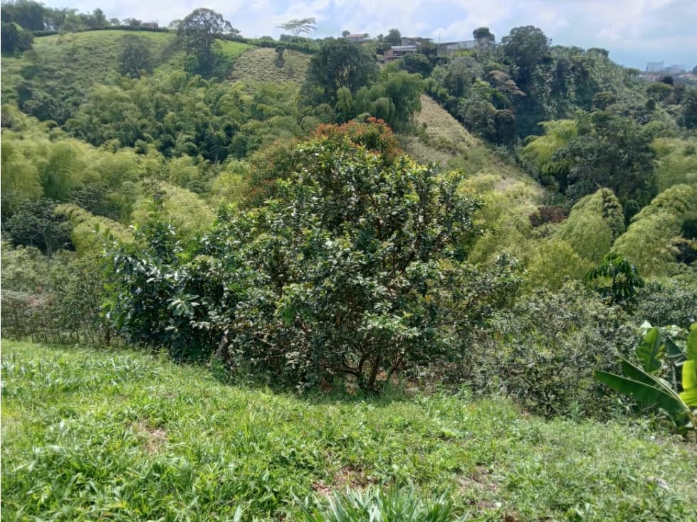 VENDO LOTE SECTOR CIRCASIA — foto 3