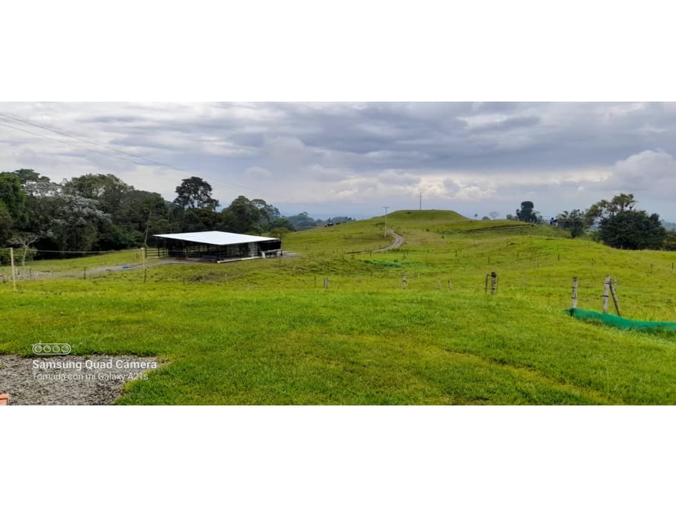 Finca en Venta Filandia Quindío — foto 3