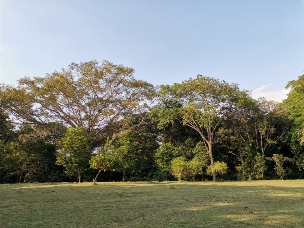 VENDO LOTE SOPETRAN ANTIOQUIA — foto 4