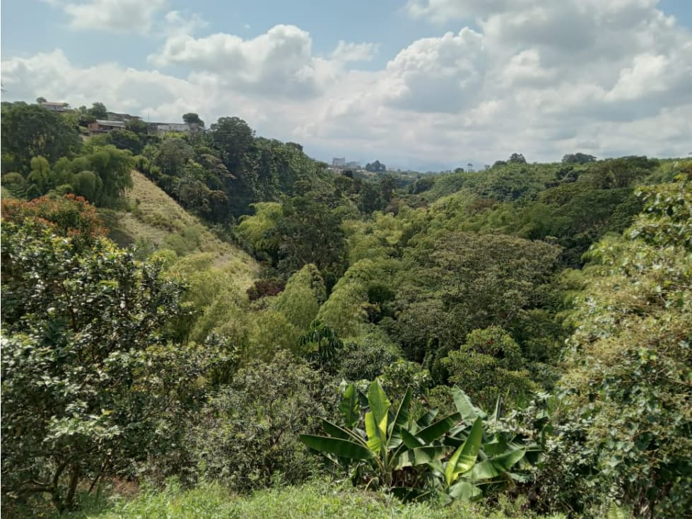 VENDO LOTE SECTOR CIRCASIA — foto 6