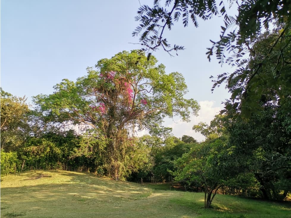 VENDO LOTE SOPETRAN ANTIOQUIA — foto 6