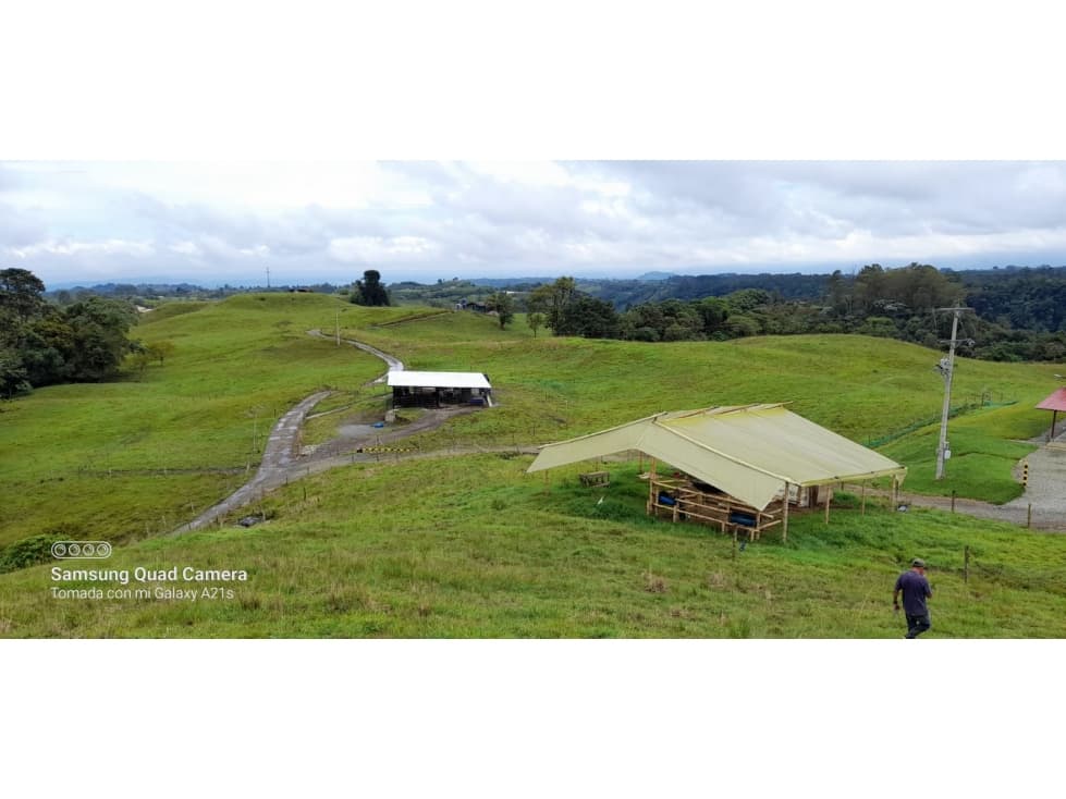 Finca en Venta Filandia Quindío — foto 2
