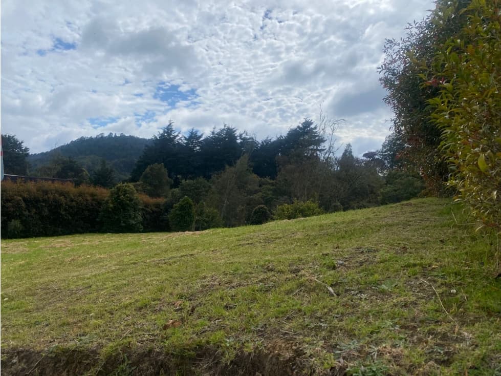Venta de lote campestre en las Palmas — foto 2