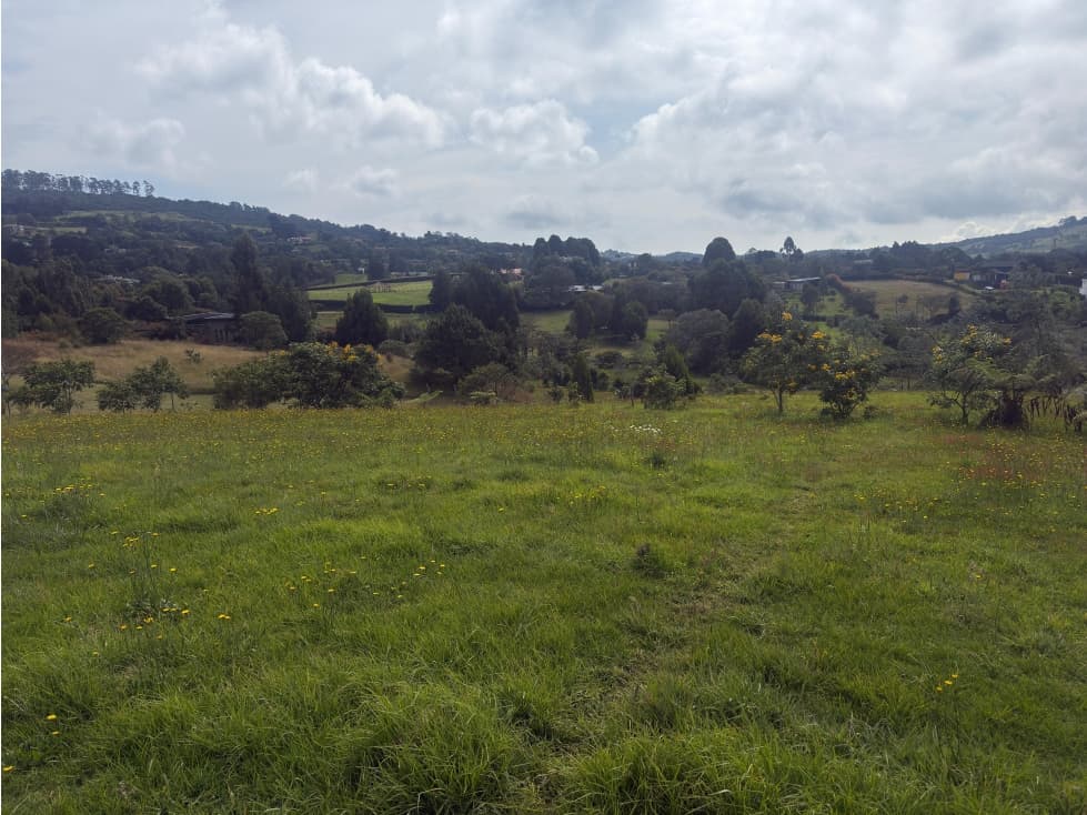 Venta de lote en las palmas, sector acuarela — foto 1