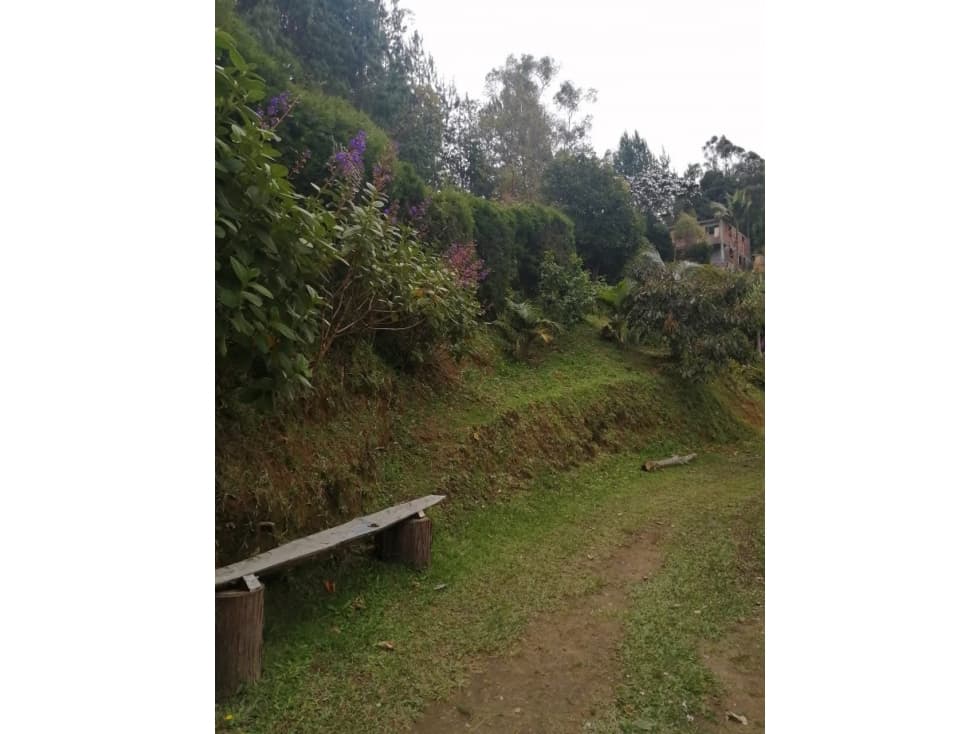 FINCA EN VENTA SANTA ELENA-VEREDA EL SANGO — foto 3