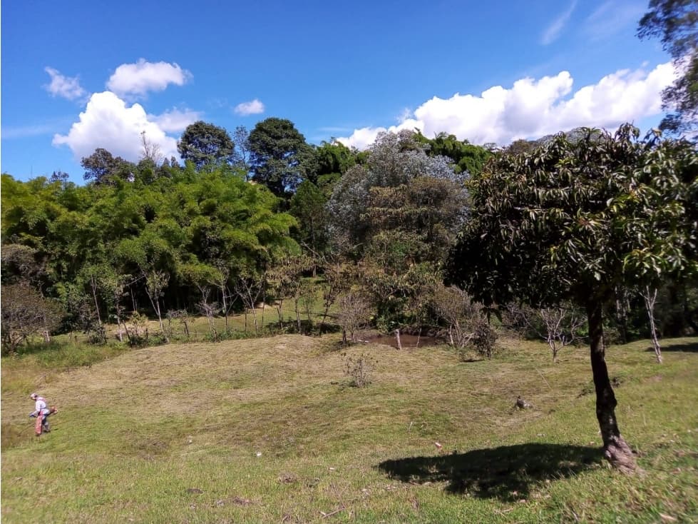 FINCA EN VENTA SANTA ELENA-VEREDA EL SANGO — foto 4