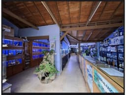 VENTA Y RENTA LOCAL COMERCIAL CERCA AL ÉXITO DEL POBLADO