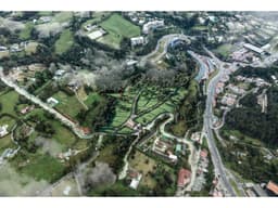 VENTA DE LOTE EN LAS PALMAS