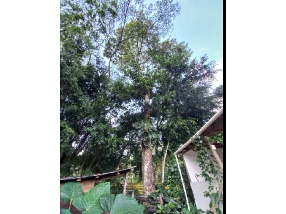 VENDO LOTE INDEPENDIENTE EN ENVIGADO LA INTERMEDIA — foto 2