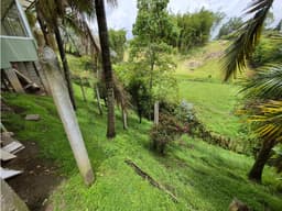 Apartamento campestre en arriendo, Rionegro, sector La Laja.